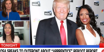 ‘The Apprentice’ star Omarosa claims Don Jr. doesn’t have the chops to host rumored reboot