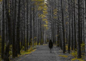 How to Find Focus When It’s Most Elusive
