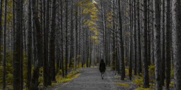 How to Find Focus When It’s Most Elusive