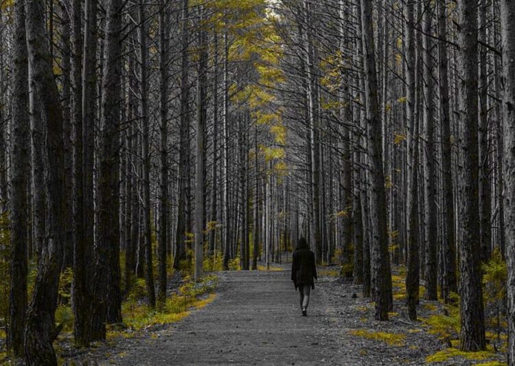 How to Find Focus When It’s Most Elusive