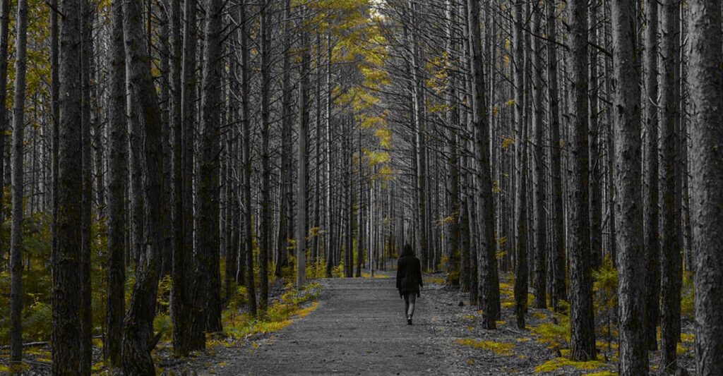 How to Find Focus When It’s Most Elusive