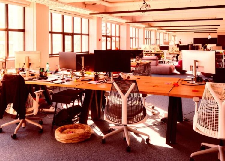 There’s Something Bizarre About the Offices of AI Startups