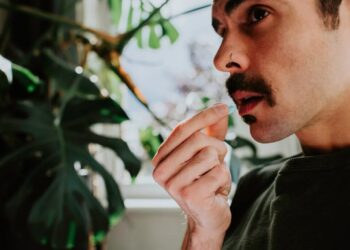 The “Pentastack” of Illegal Drugs That Looksmaxxers Like Clavicular Are Taking to Enjoy a Night Out Sounds Like a One-Way Trip to the Hospital