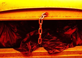 Double Murder Suspect Asked ChatGPT How to Hide Body in Dumpster