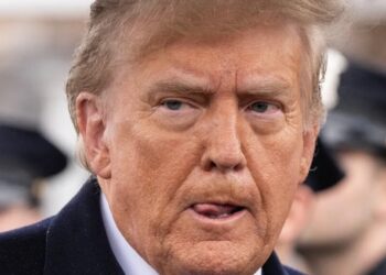 Trump snarls at ‘crying like a baby’ CNN strategist for calling him a ‘dictator’