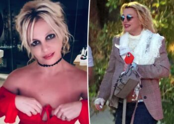 Britney Spears pleads guilty in DUI case days after leaving rehab