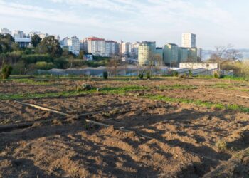 City Farming Could Supply Nearly 30% of Europe’s Fruit and Vegetable Needs, Study Finds