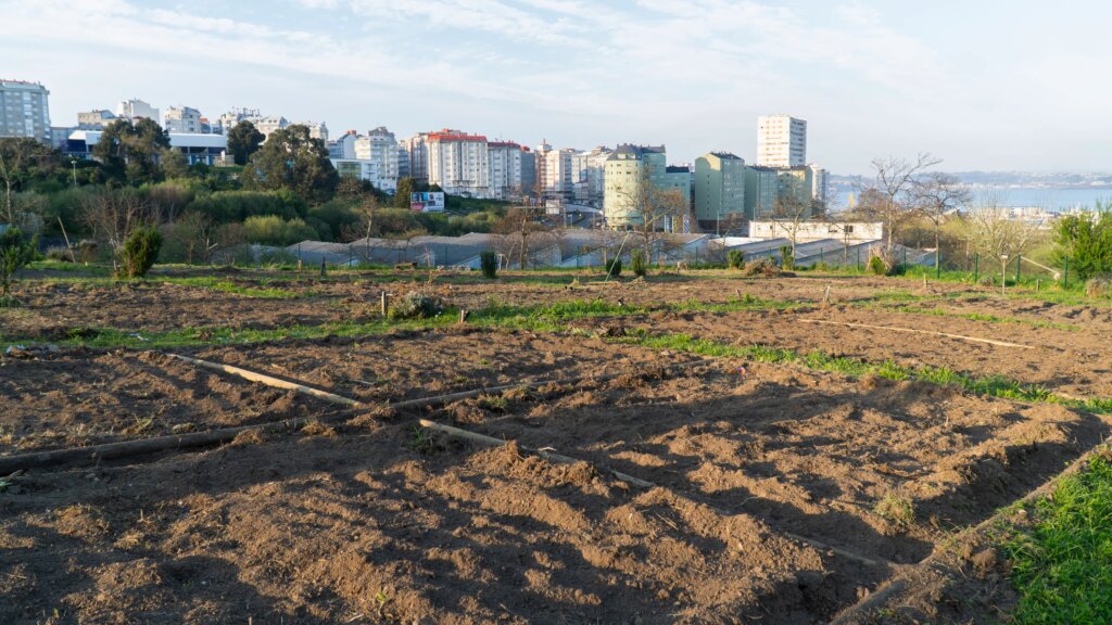 City Farming Could Supply Nearly 30% of Europe’s Fruit and Vegetable Needs, Study Finds