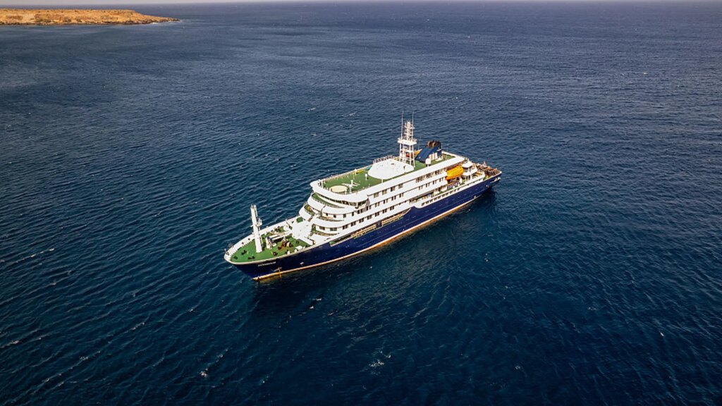 What to Know About Hantavirus Amid a Suspected Cruise-Ship Outbreak