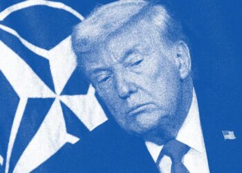 Europe Learns to Live With an Erratic America