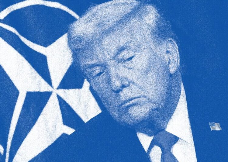 Europe Learns to Live With an Erratic America