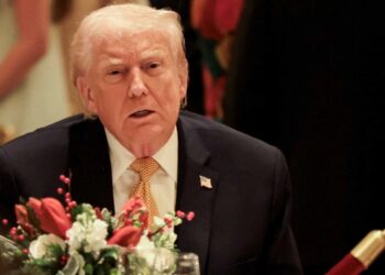 Trump reportedly on ‘rocky ground’ as MAGA ignores his choices: ‘Just isn’t moving voters’