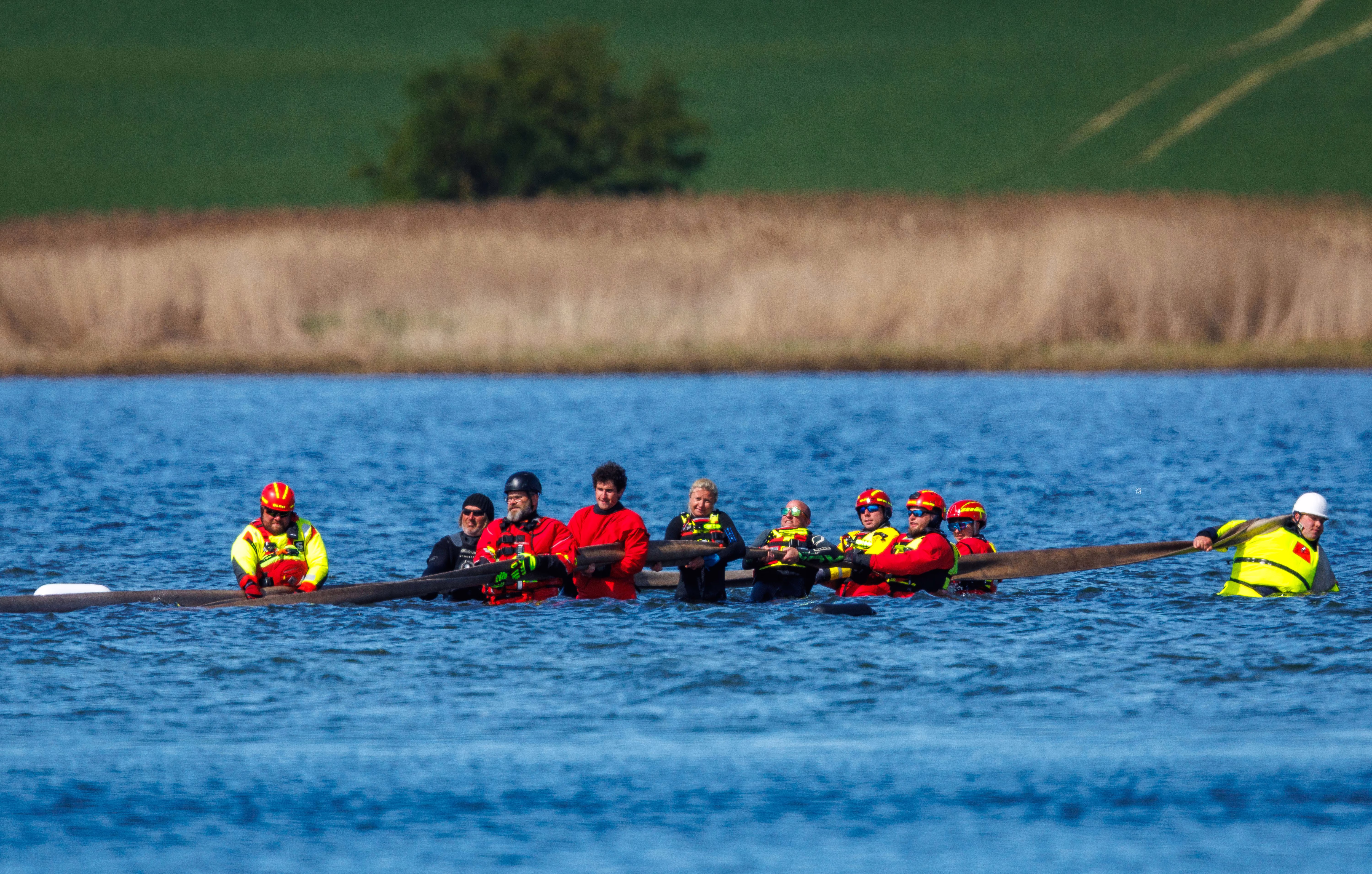 People in waist-deep water use straps to try to pull a stranded whale toward a transport barge.