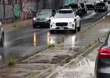 Busy Roadways Clogged as Waymo Becomes Stumped by Small Puddle