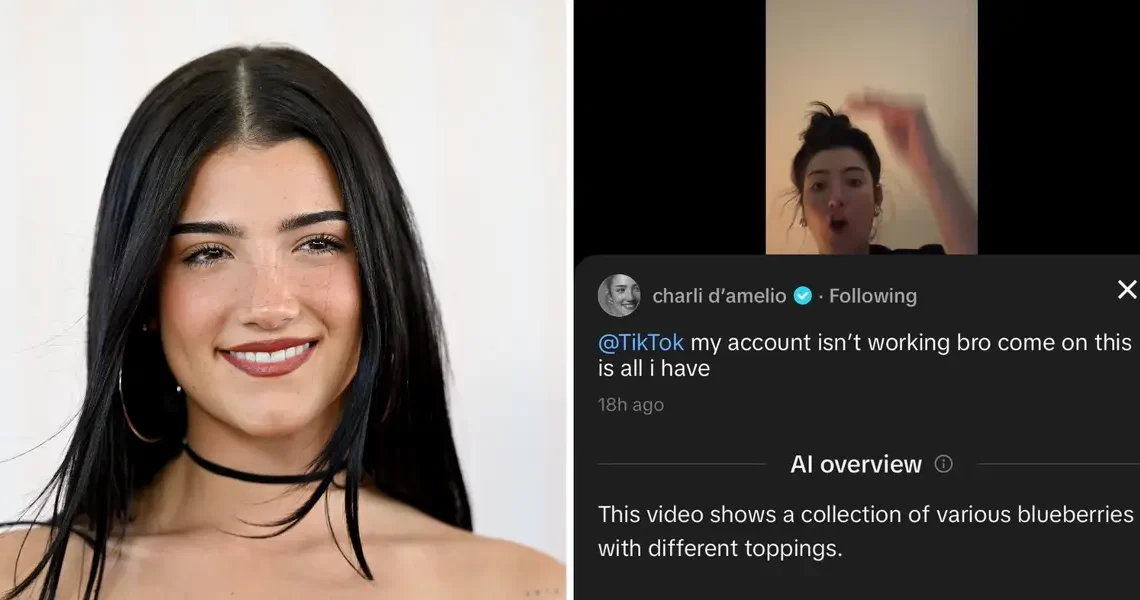 TikTok pulls back on an AI feature that described Charli D’Amelio as a collection of blueberries