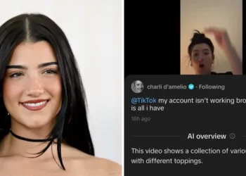 TikTok pulls back on an AI feature that described Charli D’Amelio as a collection of blueberries