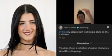 TikTok pulls back on an AI feature that described Charli D’Amelio as a collection of blueberries