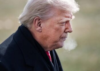 After the FDA spent years rejecting over flavored vape products, Trump reportedly pressed his FDA commissioner to allow mango and blueberry flavors