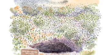 Do Animals Have Civilizations?