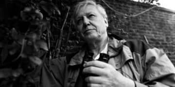 At 100, David Attenborough’s Voice Is a Lesson in Wonder and Planetary Stewardship