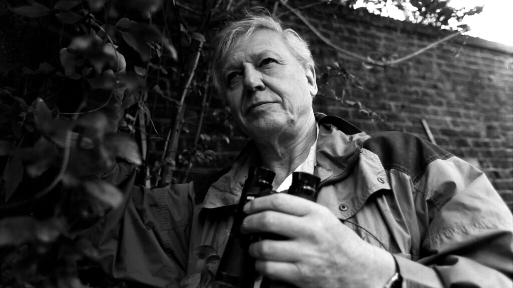 At 100, David Attenborough’s Voice Is a Lesson in Wonder and Planetary Stewardship