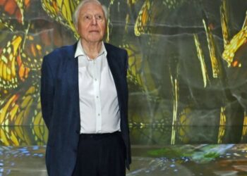 The World Is Celebrating David Attenborough’s 100th Birthday With Butterflies and Concerts