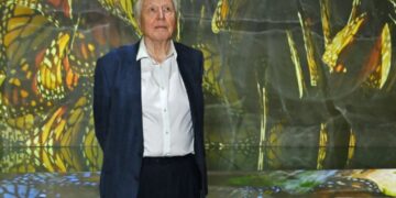 The World Is Celebrating David Attenborough’s 100th Birthday With Butterflies and Concerts