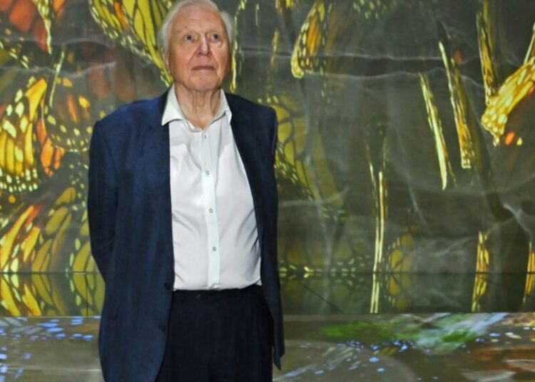 The World Is Celebrating David Attenborough’s 100th Birthday With Butterflies and Concerts