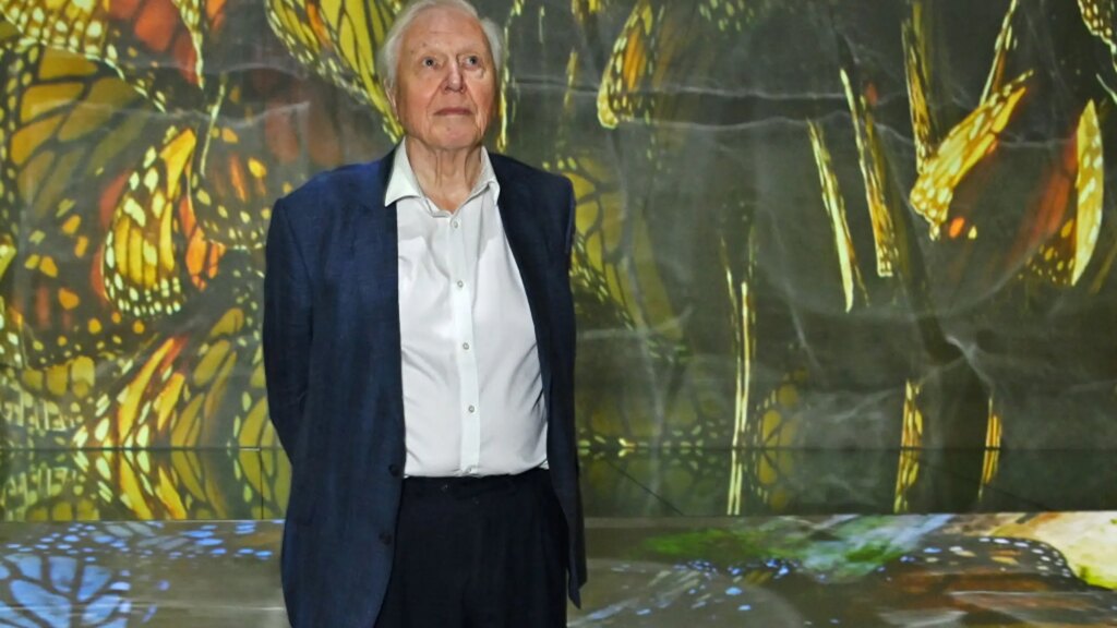The World Is Celebrating David Attenborough’s 100th Birthday With Butterflies and Concerts