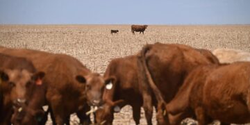 The Worst Spring Drought on Record Is Putting U.S. Crops at Risk