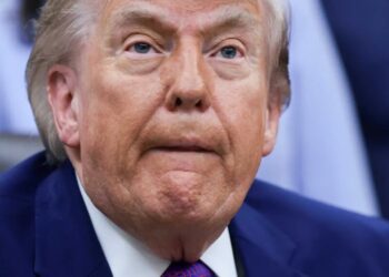 Trump makes stunning admission on key proposal he rejected