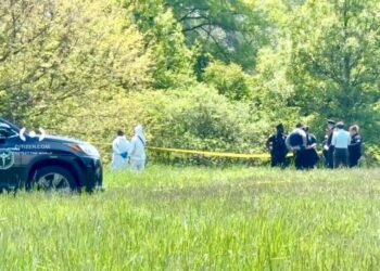 Apparent human remains found near NYC park with children’s playground