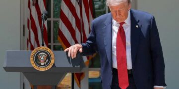 ‘Cracks are starting to show’: CNN host pounces on new Trump polling on crucial issue