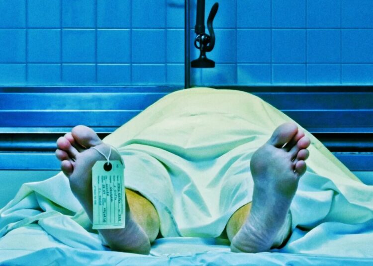 Trump Says a New Drug Can Bring Dead People Back to Life