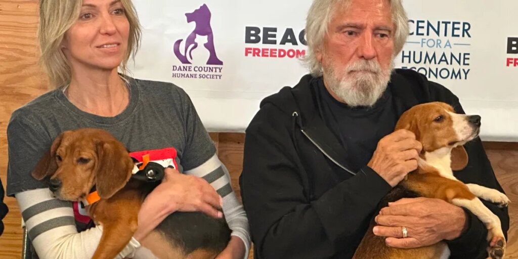 Debbie Gibson, Geezer Butler of Black Sabbath want you to adopt a beagle rescued from an experimental lab in Wisconsin