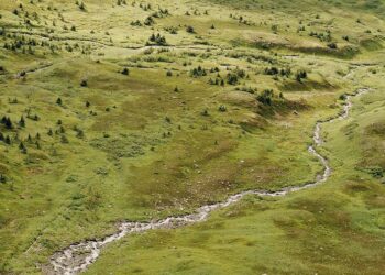 The Environmental Movement Needs to Touch Grass