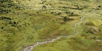 The Environmental Movement Needs to Touch Grass