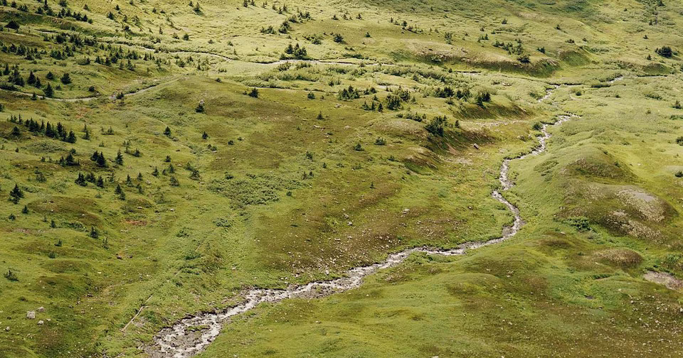 The Environmental Movement Needs to Touch Grass