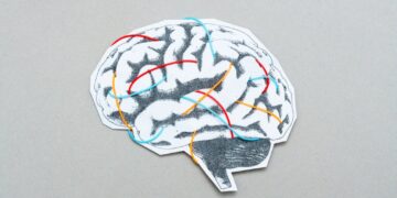 The Brain Processes Language Even Under Anesthesia, a New Study Finds