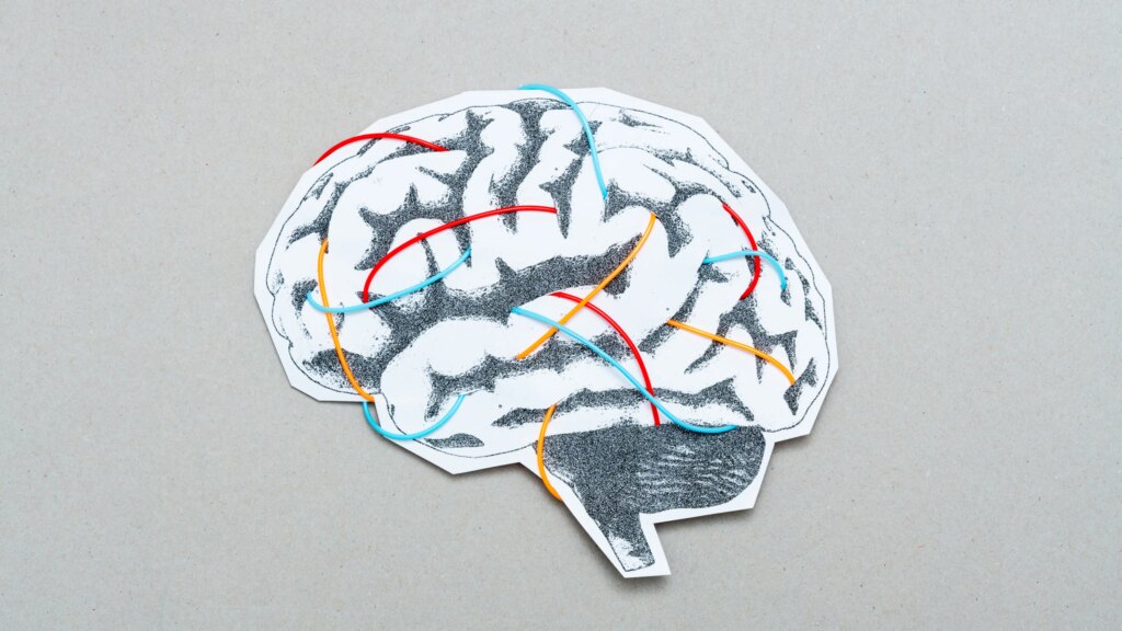 The Brain Processes Language Even Under Anesthesia, a New Study Finds