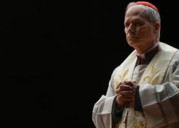 Pope Leo warns of ‘spiral of annihilation’ as AI warfare leads to symphony of destruction