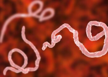 A New Ebola Outbreak in Democratic Republic of Congo Kills 65 and Sickens Hundreds