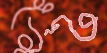 A New Ebola Outbreak in Democratic Republic of Congo Kills 65 and Sickens Hundreds