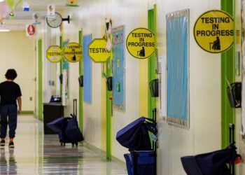 ‘Learning Recession’: Why Student Test Scores Have Seen a Decade-Long Decline Across the U.S.