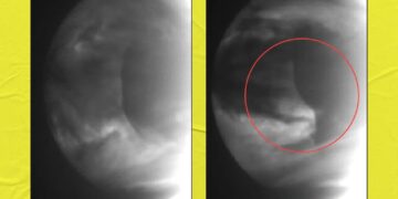 Scientists Detect Weird Anomalies in Clouds of Venus