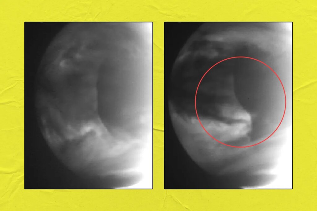 Scientists Detect Weird Anomalies in Clouds of Venus