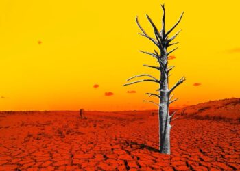 The Latest Data on El Niño Is a Looming Nightmare