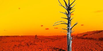 The Latest Data on El Niño Is a Looming Nightmare