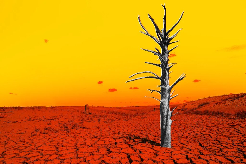 The Latest Data on El Niño Is a Looming Nightmare
