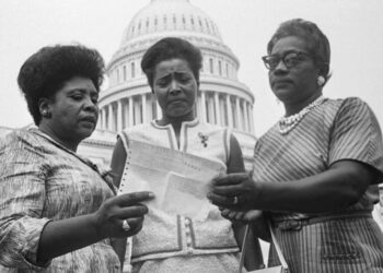Democracy Is a Racial Entitlement Now